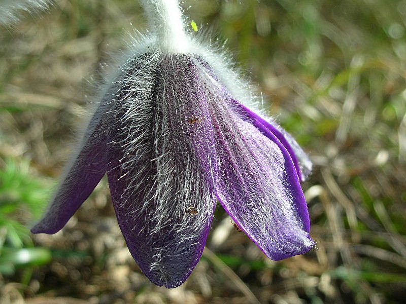 Aria di primavera...